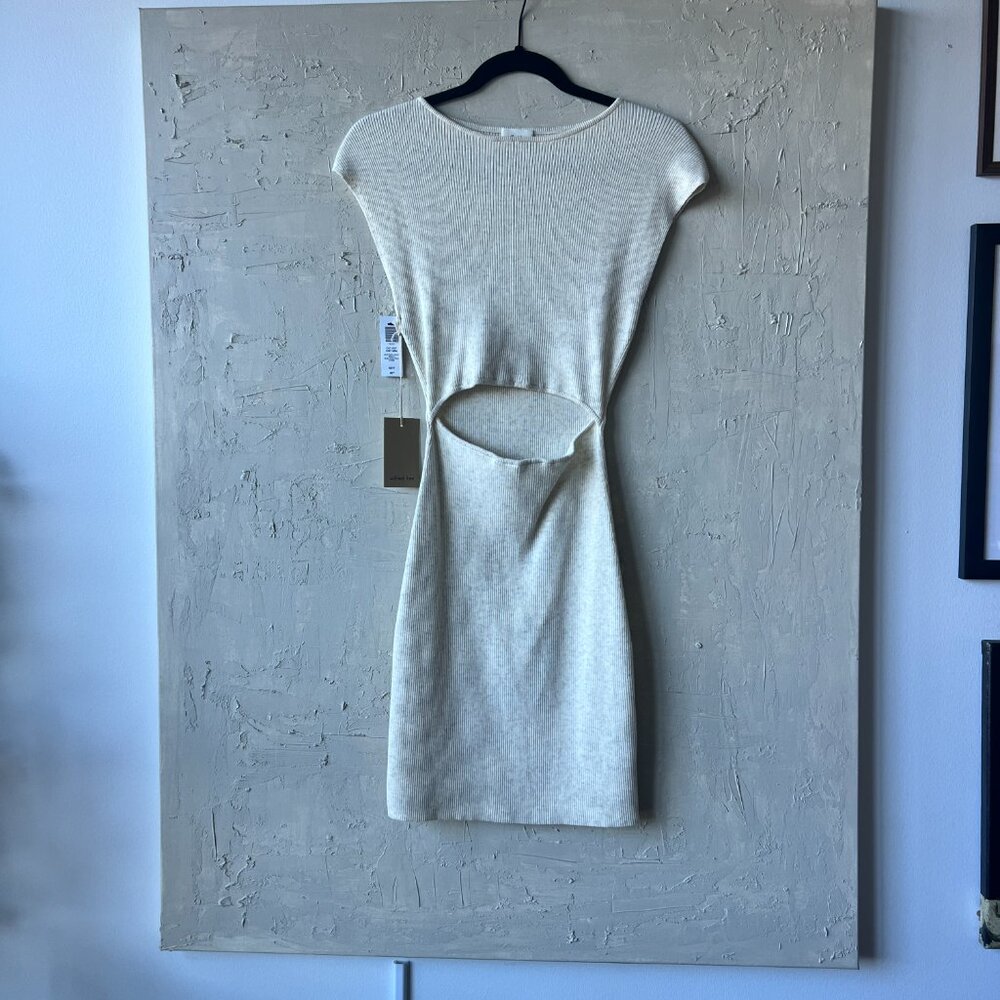 Aritzia Ribbed Sweater Dress - Never Worn